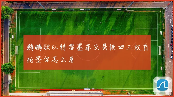 鹈鹕欲以特雷墨菲交易换回三枚首轮签你怎么看
