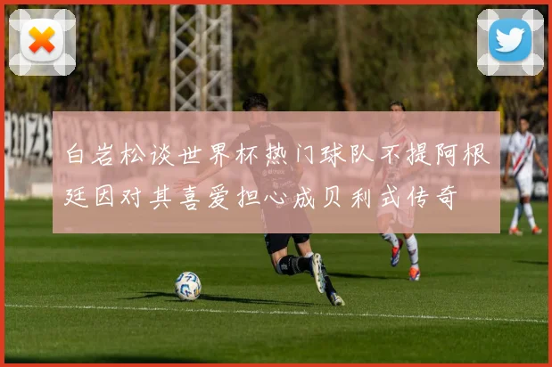 白岩松谈世界杯热门球队不提阿根廷因对其喜爱担心成贝利式传奇